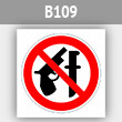 Знак «Оружие запрещено», B109 (металл, 200х200 мм)